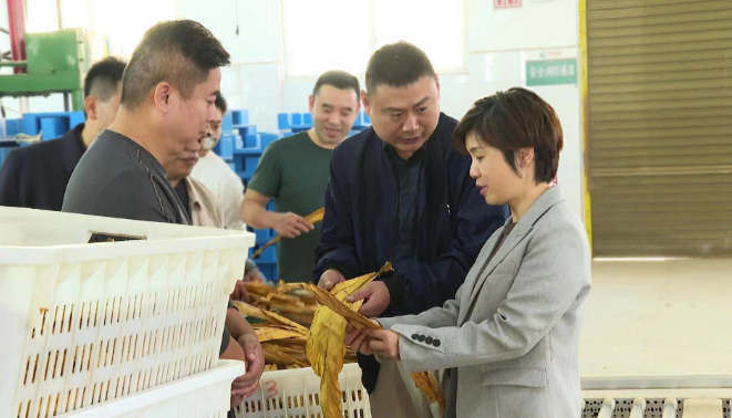 市政协开展基层协商调研_邵阳头条网