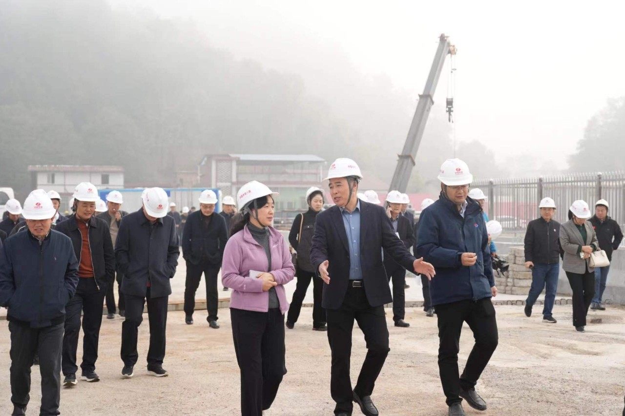 看变化 看发展 聚共识——邵阳市政协委员集中视察四组开展视察活动_邵阳头条网