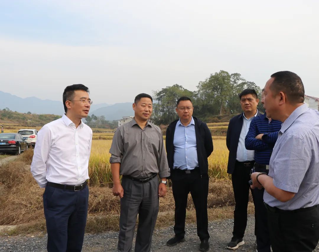 周文到新邵县调研乡村振兴工作_邵阳头条网