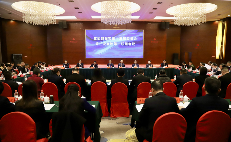 【两会时间】严华参加市政协第一联组讨论_邵阳头条网