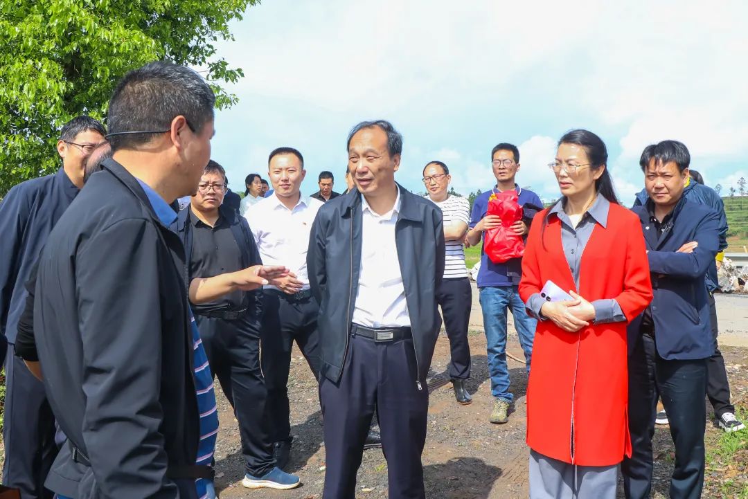 邵阳市政协开展“农业化肥农药减量增效”专项民主监督(图1)