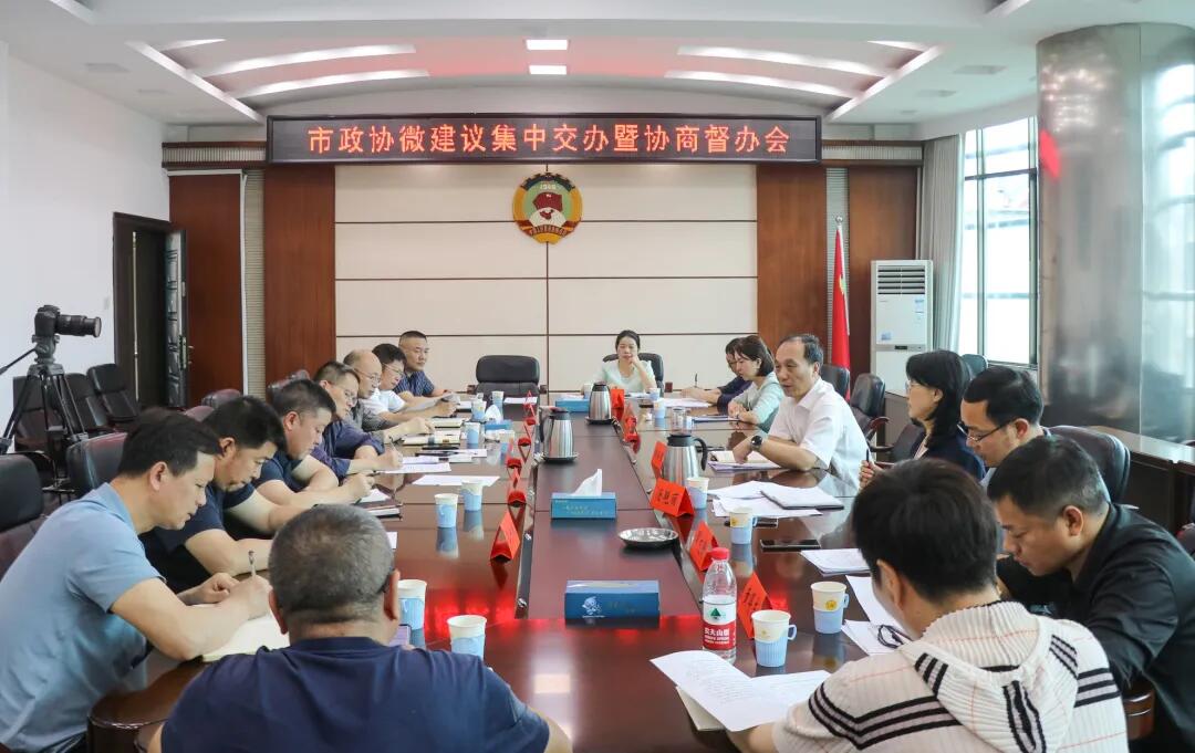 邵阳市政协开展“微建议”督办协商(图2)