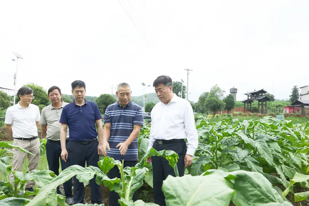 李民调研市县政协党的建设和“两支队伍”建设工作(图3)