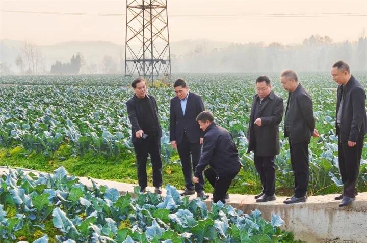 伍先明带队赴隆回开展调研督导(图1)