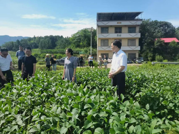邵阳市县镇三级政协组织联动开展改善生态环境专项民主监督(图2)