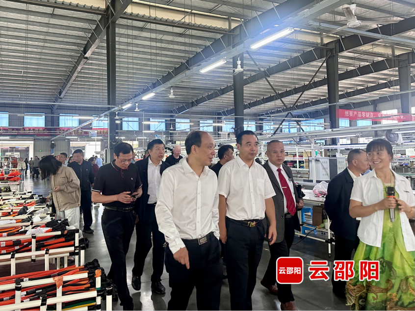 邵阳市政协开展“生态环境保护 文旅融合发展”委员视察(图2)